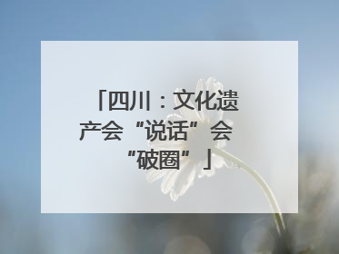 四川：文化遗产会“说话”会“破圈”