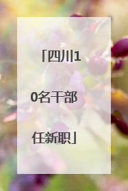 四川10名干部任新职