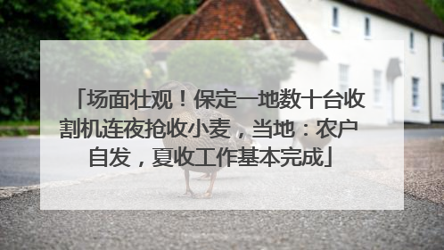 场面壮观！保定一地数十台收割机连夜抢收小麦，当地：农户自发，夏收工作基本完成