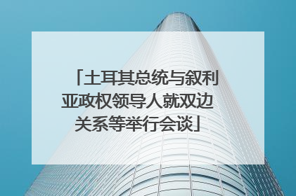 土耳其总统与叙利亚政权领导人就双边关系等举行会谈