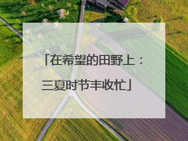 在希望的田野上：三夏时节丰收忙