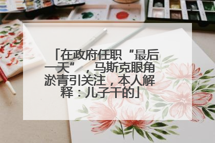 在政府任职“最后一天”，马斯克眼角淤青引关注，本人解释：儿子干的