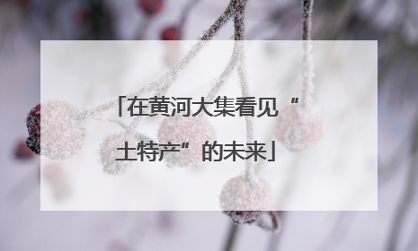 在黄河大集看见“土特产”的未来
