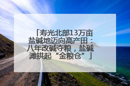 寿光北部13万亩盐碱地迈向高产田：八年改碱夺粮，盐碱滩拱起“金粮仓”