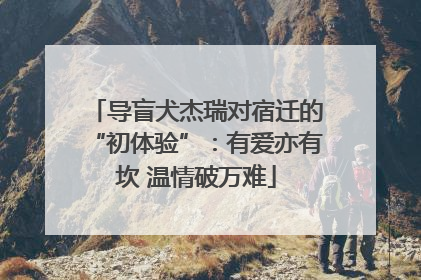 导盲犬杰瑞对宿迁的“初体验”：有爱亦有坎 温情破万难