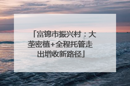 富锦市振兴村：大垄密植+全程托管走出增收新路径