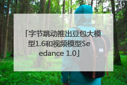 字节跳动推出豆包大模型1.6和视频模型Seedance 1.0