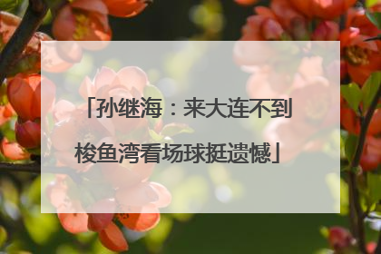孙继海：来大连不到梭鱼湾看场球挺遗憾