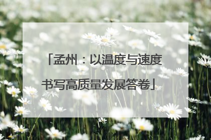 孟州：以温度与速度书写高质量发展答卷
