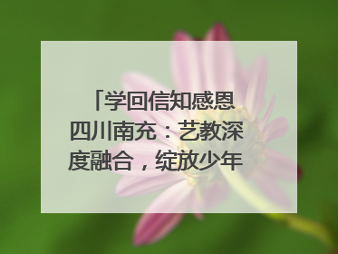 学回信知感恩 四川南充：艺教深度融合，绽放少年儿童风采｜您牵挂的四川