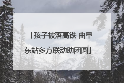 孩子被落高铁 曲阜东站多方联动助团圆