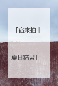 宿来拍丨夏日精灵