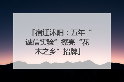 宿迁沭阳：五年“诚信实验”擦亮“花木之乡”招牌