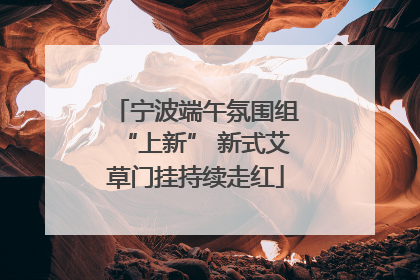宁波端午氛围组“上新” 新式艾草门挂持续走红