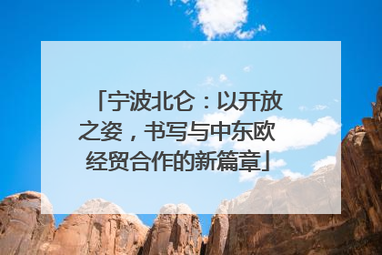 宁波北仑：以开放之姿，书写与中东欧经贸合作的新篇章