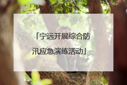 宁远开展综合防汛应急演练活动