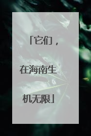 它们，在海南生机无限