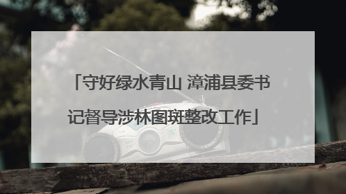 守好绿水青山 漳浦县委书记督导涉林图斑整改工作