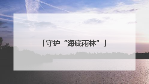 守护“海底雨林”
