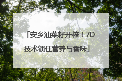 安乡油菜籽开榨！7D技术锁住营养与香味