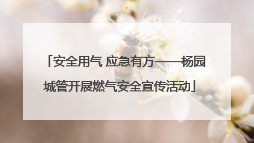安全用气 应急有方——杨园城管开展燃气安全宣传活动