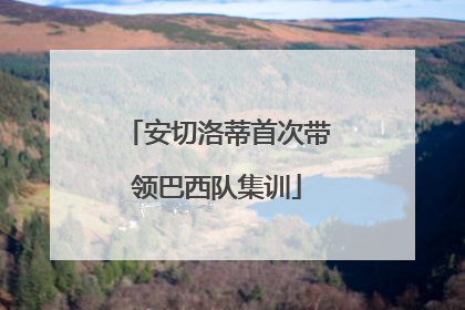 安切洛蒂首次带领巴西队集训
