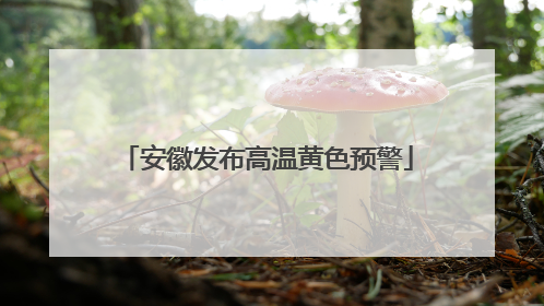 安徽发布高温黄色预警