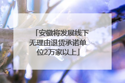 安徽将发展线下无理由退货承诺单位2万家以上