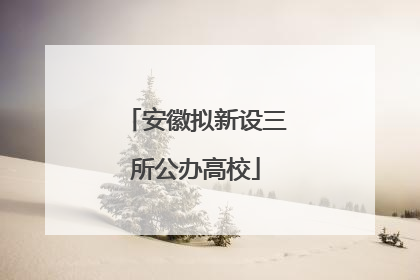 安徽拟新设三所公办高校
