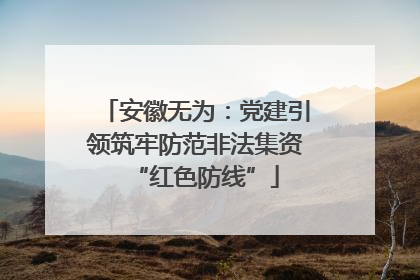 安徽无为：党建引领筑牢防范非法集资“红色防线”