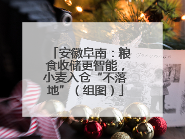 安徽阜南：粮食收储更智能，小麦入仓“不落地”（组图）