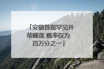 安徽首现罕见并蒂睡莲 概率仅为百万分之一
