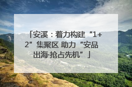 安溪：着力构建“1+2”集聚区 助力“安品出海·抢占先机”