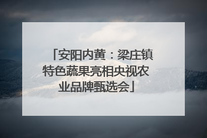 安阳内黄：梁庄镇特色蔬果亮相央视农业品牌甄选会