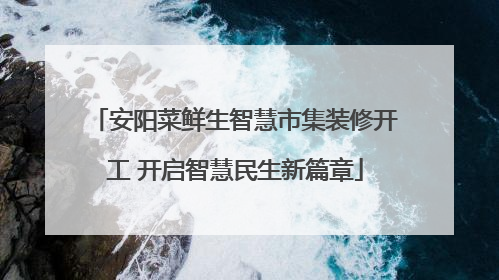 安阳菜鲜生智慧市集装修开工 开启智慧民生新篇章