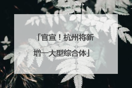 官宣！杭州将新增一大型综合体