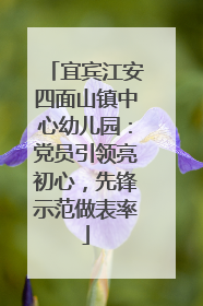 宜宾江安四面山镇中心幼儿园：党员引领亮初心，先锋示范做表率