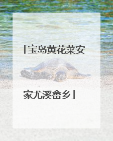 宝岛黄花菜安家尤溪畲乡