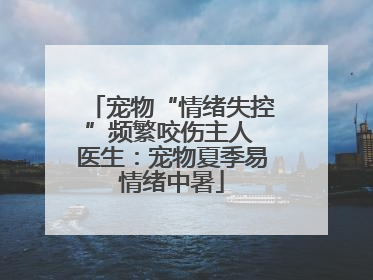 宠物“情绪失控”频繁咬伤主人 医生：宠物夏季易情绪中暑