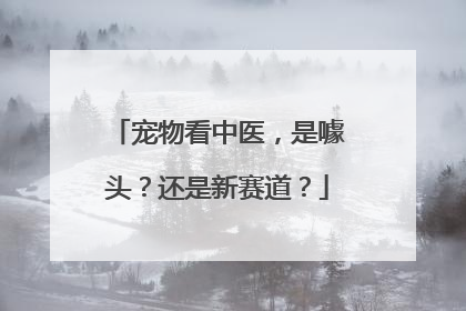 宠物看中医，是噱头？还是新赛道？