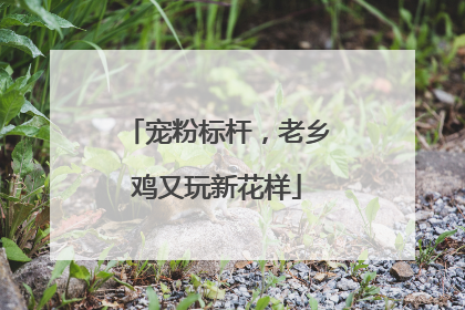 宠粉标杆，老乡鸡又玩新花样