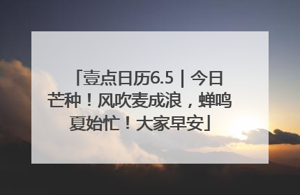 壹点日历6.5｜今日芒种！风吹麦成浪，蝉鸣夏始忙！大家早安