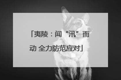 夷陵：闻“汛”而动 全力防范应对