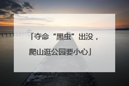 夺命“黑虫”出没，爬山逛公园要小心