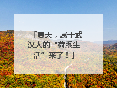 夏天，属于武汉人的“荷系生活”来了！