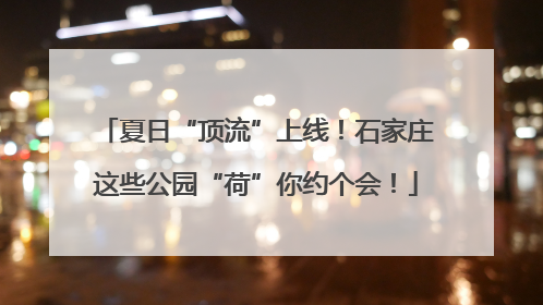 夏日“顶流”上线！石家庄这些公园“荷”你约个会！