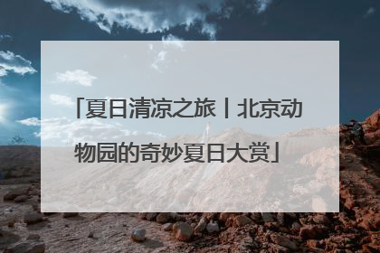 夏日清凉之旅丨北京动物园的奇妙夏日大赏