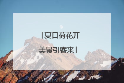 夏日荷花开 美景引客来