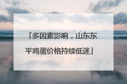 多因素影响，山东东平鸡蛋价格持续低迷