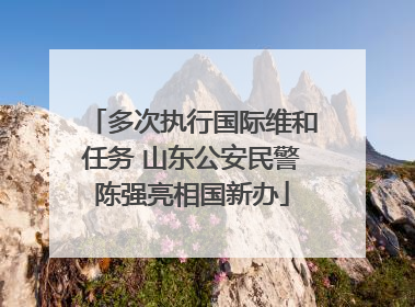 多次执行国际维和任务 山东公安民警陈强亮相国新办